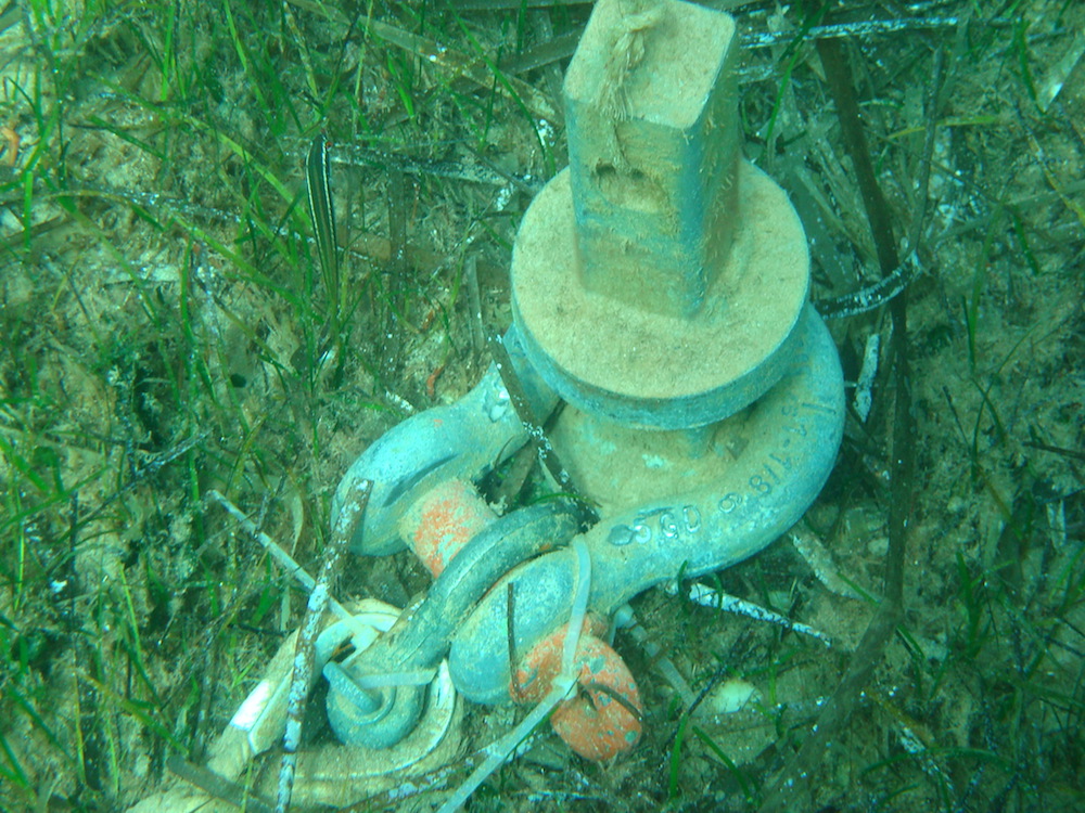 imagen servicios/fotos/